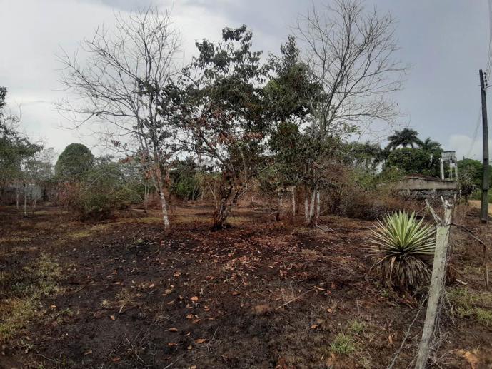 Terreno à Venda, 2.000,00 m² - Foto 3
