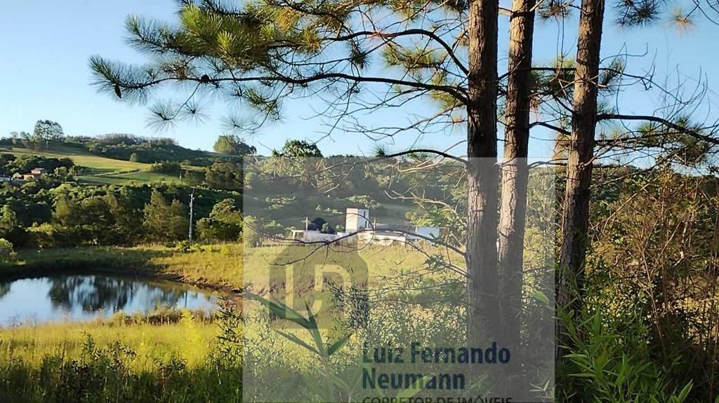 Rural com 2 Quartos à Venda, 640,00 m² - Foto 4