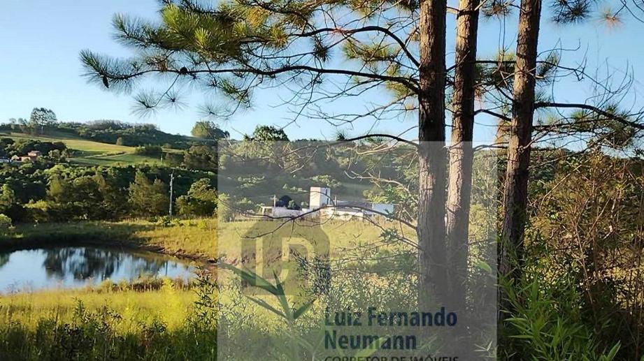 Rural com 2 Quartos à Venda, 640,00 m² - Foto 4
