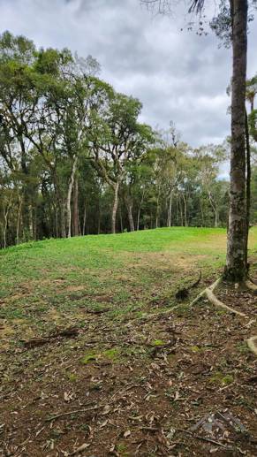 Terreno à Venda, 17.000,00 m² - Foto 6