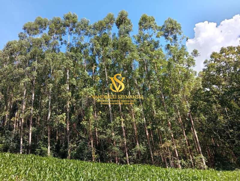 Rural à Venda, 24.600,00 m² - Foto 1