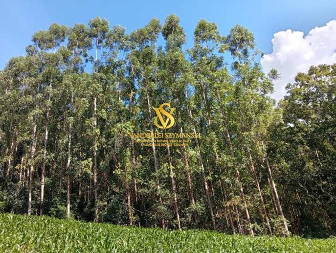 Rural à Venda, 24.600,00 m² - Foto 1