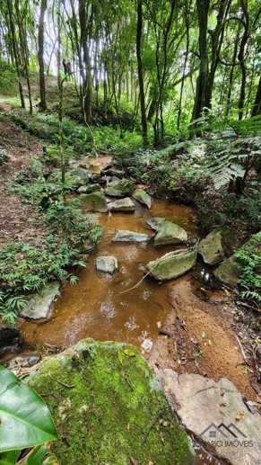 Rural à Venda, 10.859,00 m² - Foto 21