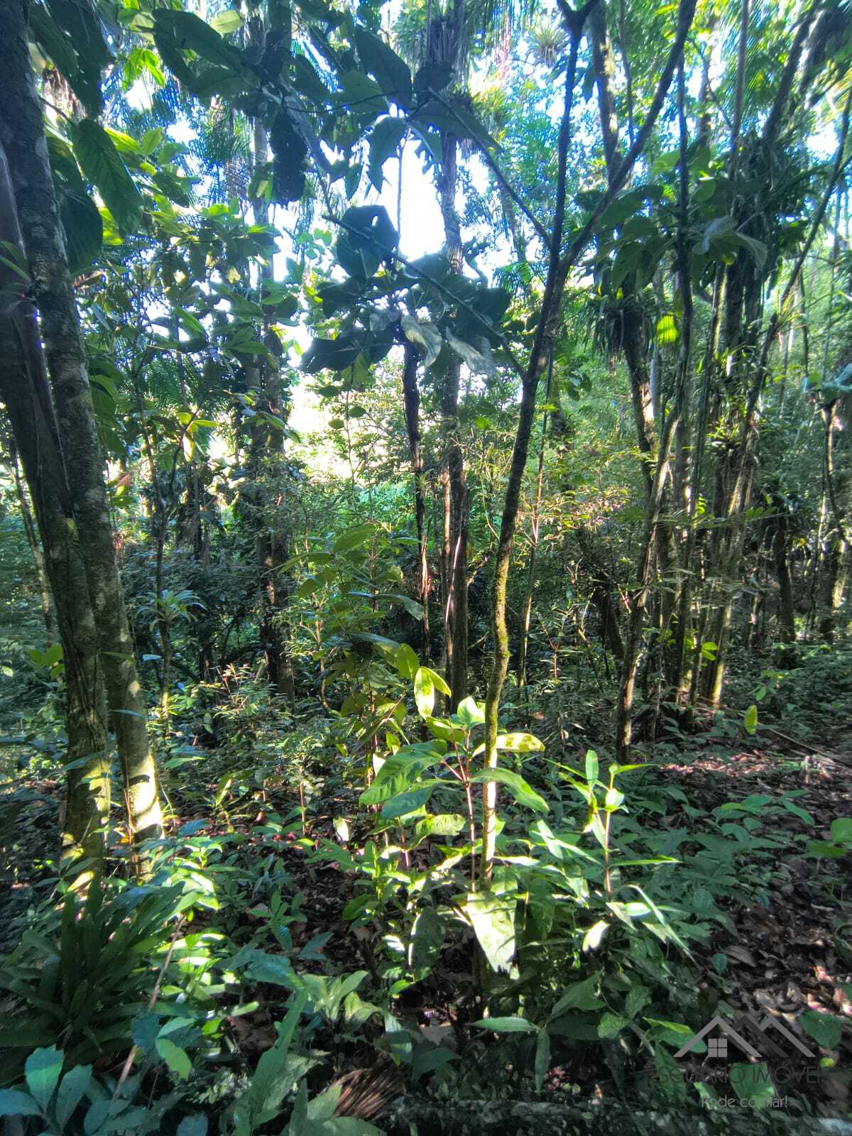 Rural à Venda, 84.700,00 m² - Foto 47