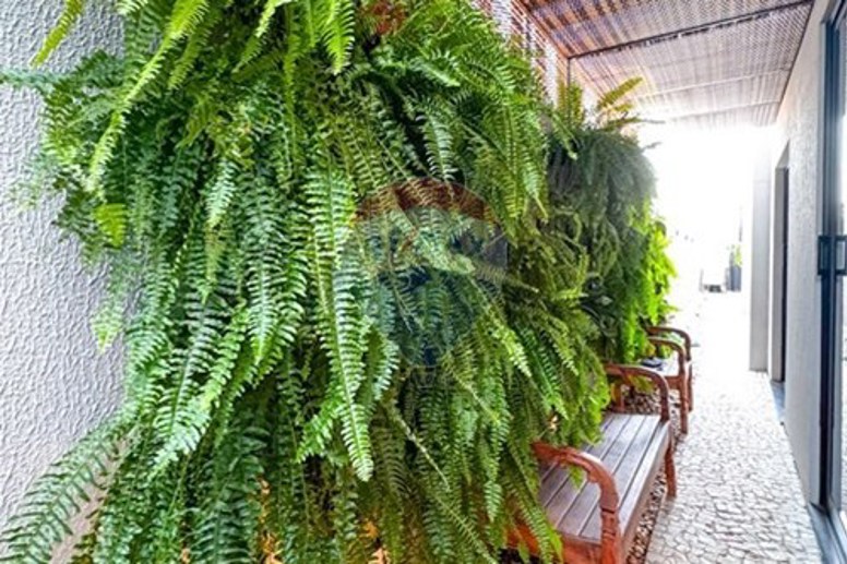 Casa à Venda - Foto 9