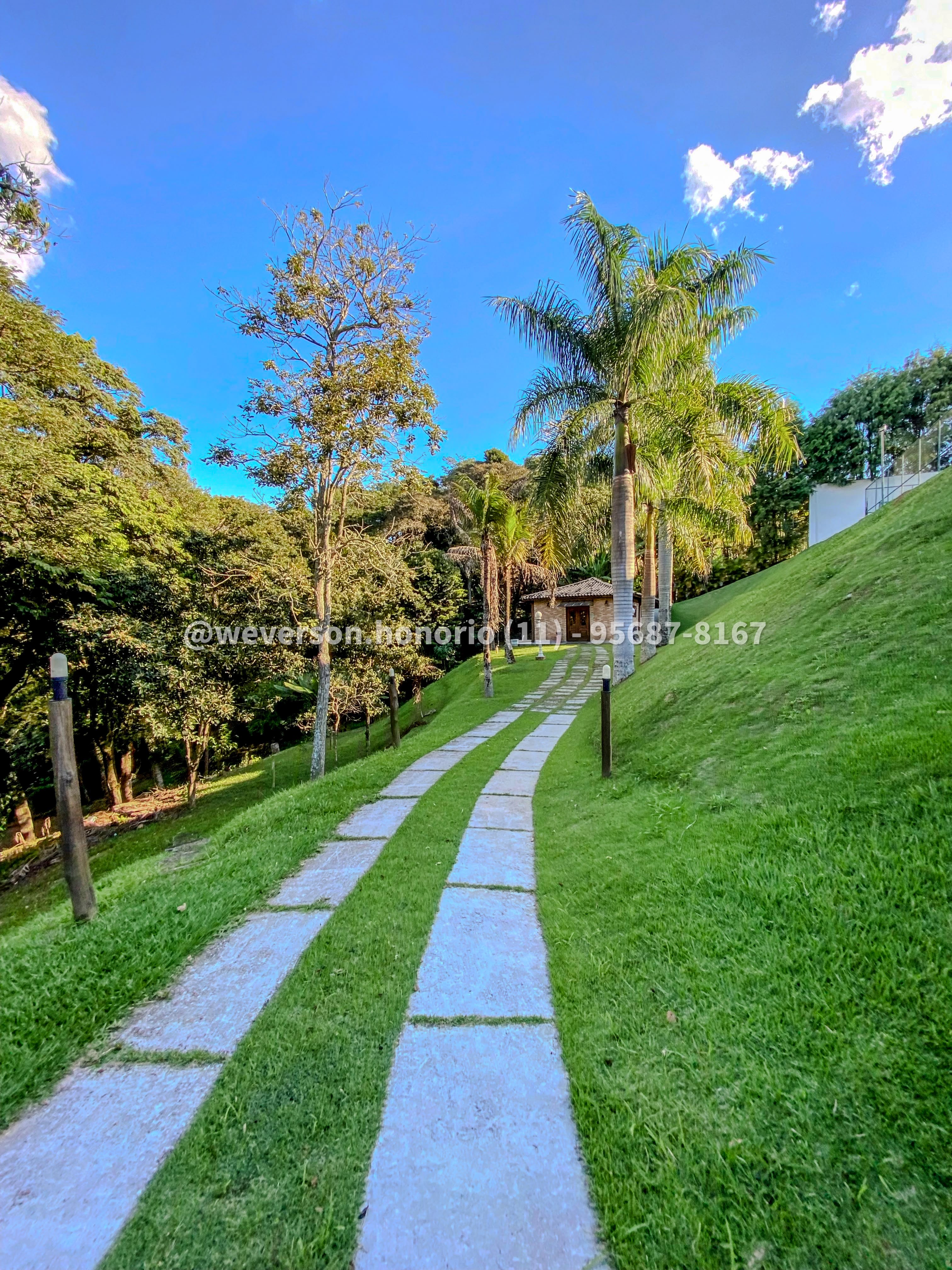 Casa com 7 Quartos à Venda, 8.000,00 m² - Foto 25