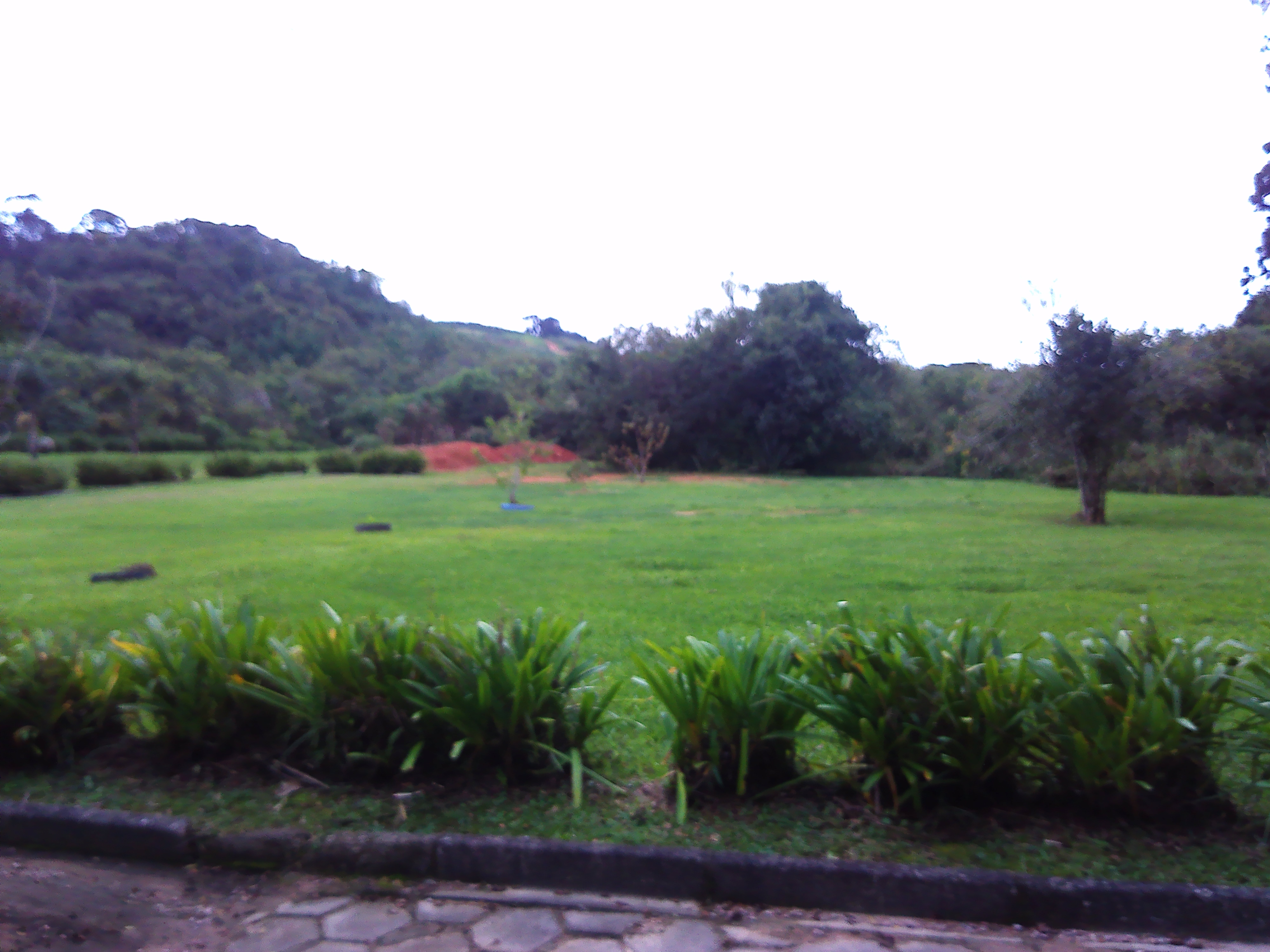 Rural com 3 Quartos à Venda, 1.237,22 m² - Foto 50