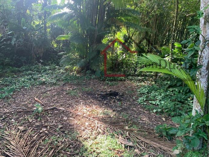 Rural com 1 Quarto à Venda, 2.500,00 m² - Foto 5