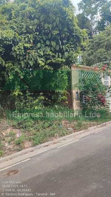 Terreno à Venda, 200,00 m² - Foto 7