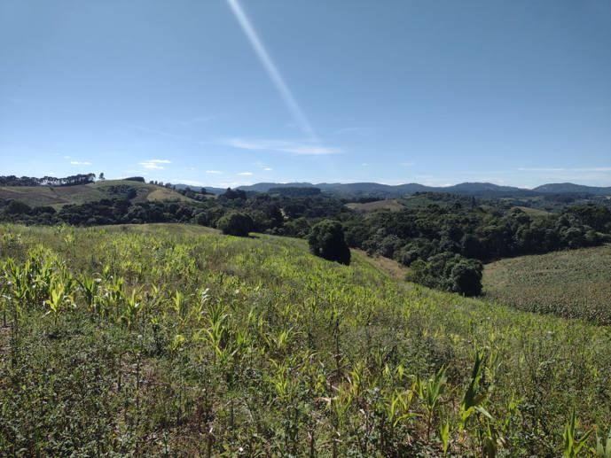 Terreno à Venda, 4.864,18 m² - Foto 3