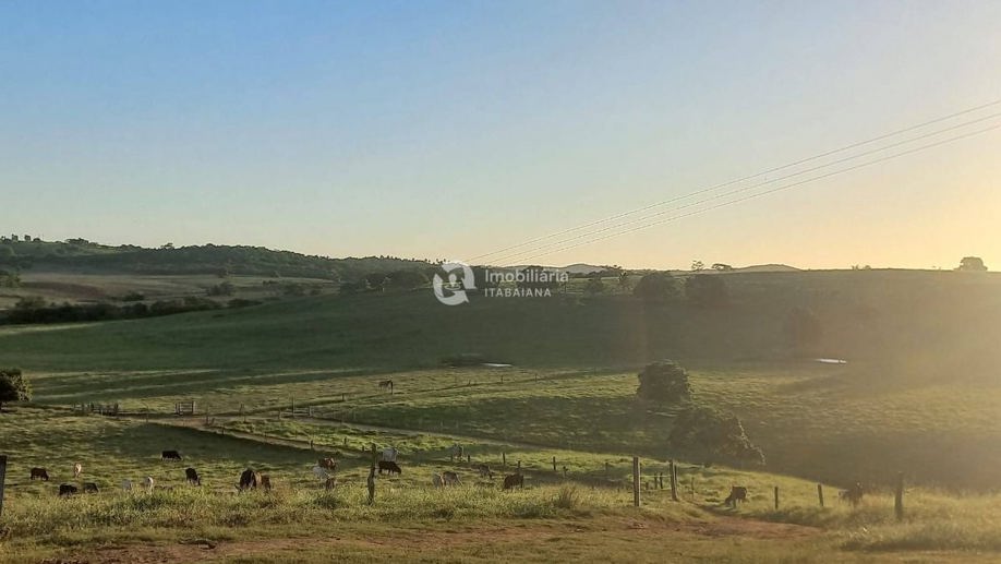 Rural com 5 Quartos à Venda, 868,00 m² - Foto 12
