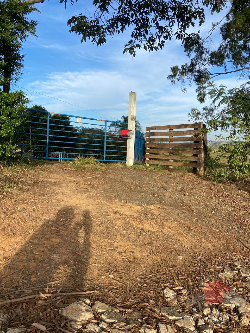 Rural com 2 Quartos à Venda, 24.200,00 m² - Foto 13