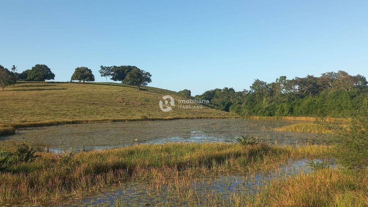 Rural com 5 Quartos à Venda, 868,00 m² - Foto 17