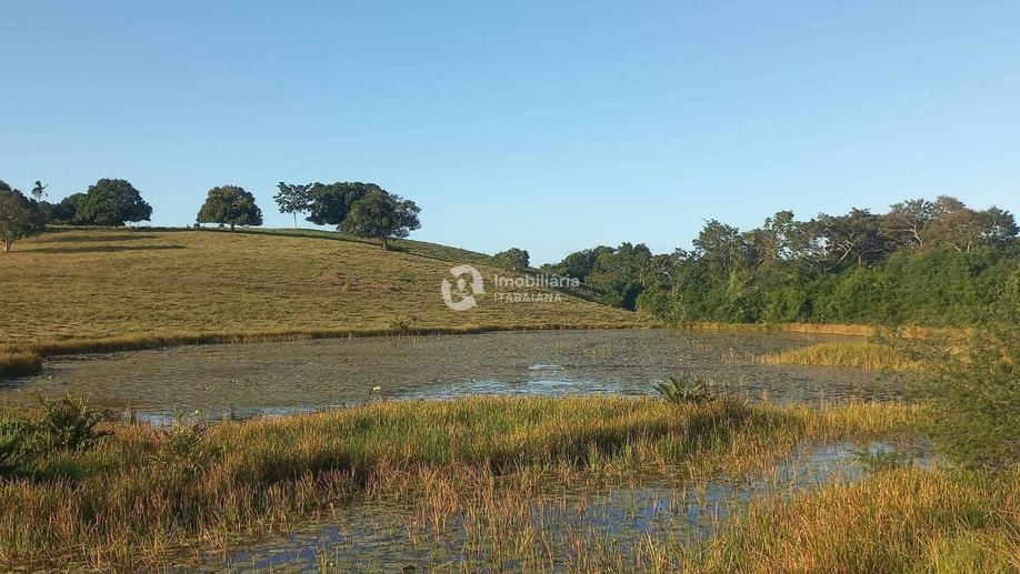 Rural com 5 Quartos à Venda, 868,00 m² - Foto 17