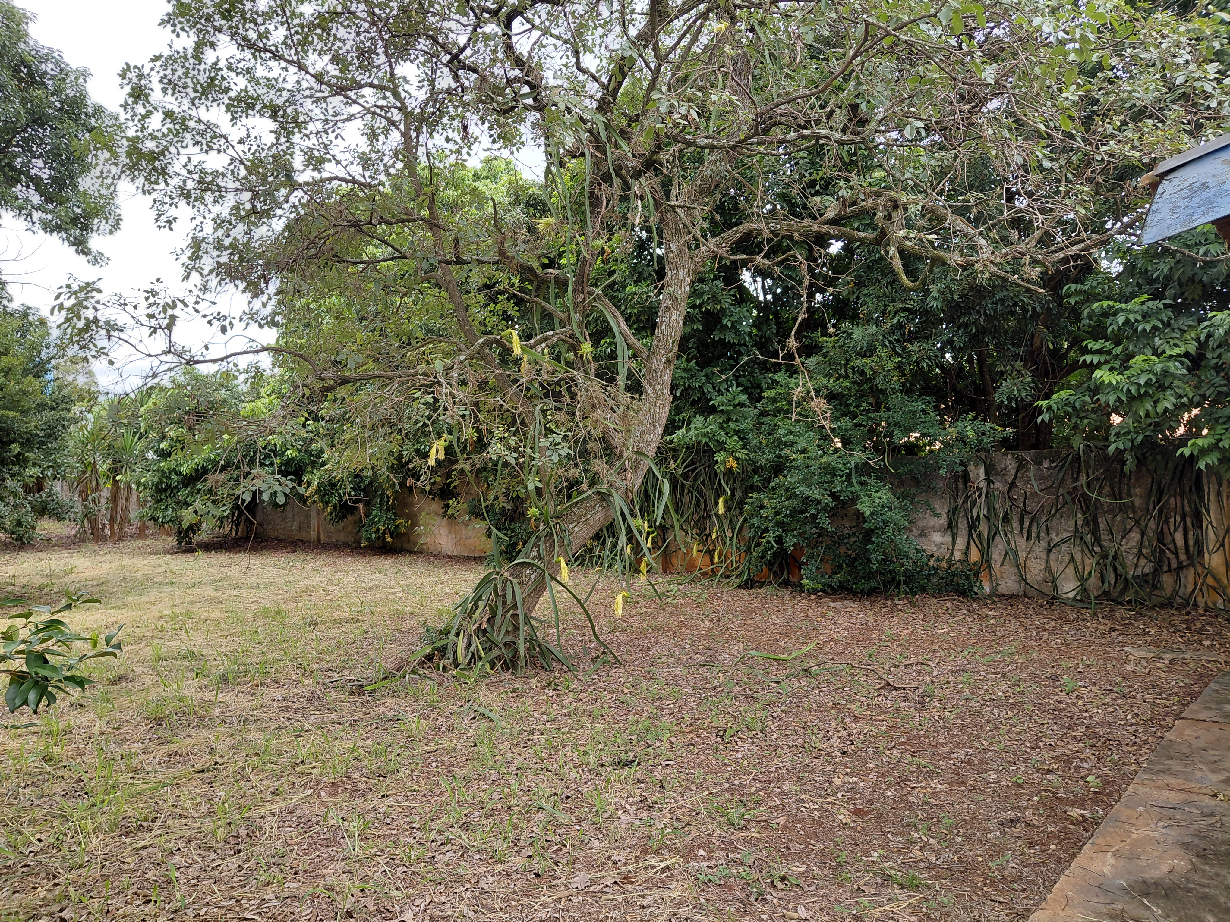 Casa com 2 Quartos à Venda, 7.480,00 m² - Foto 17