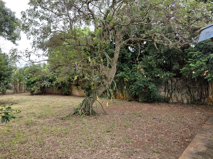 Casa com 2 Quartos à Venda, 7.480,00 m² - Foto 17