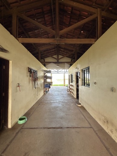 Rural com 8 Quartos à Venda, 242.000,00 m² - Foto 14