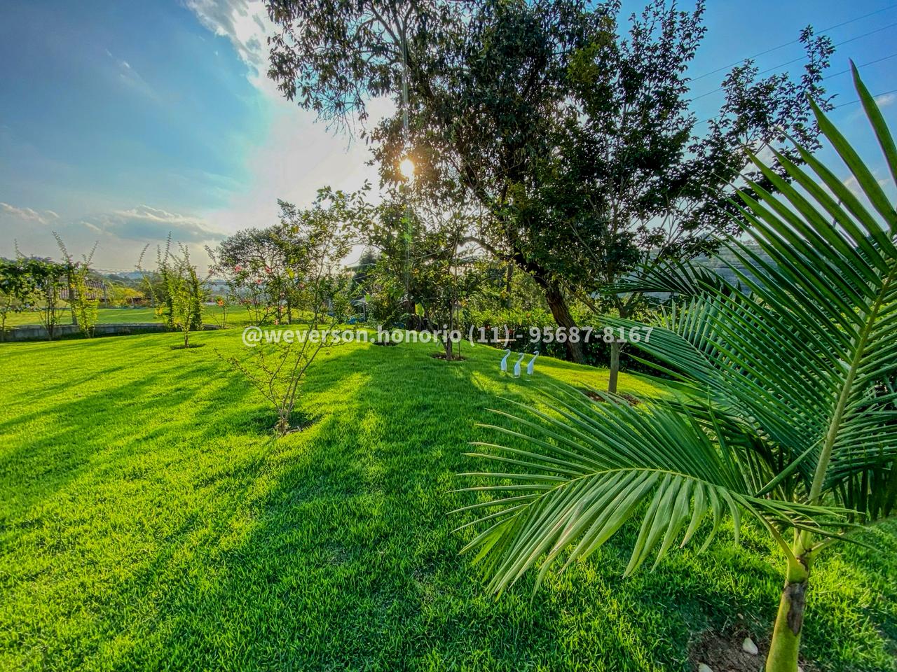 Casa com 2 Quartos à Venda, 1.000,00 m² - Foto 16