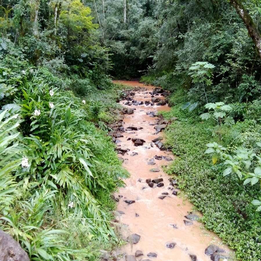 Rural à Venda, 2.375,00 m² - Foto 9