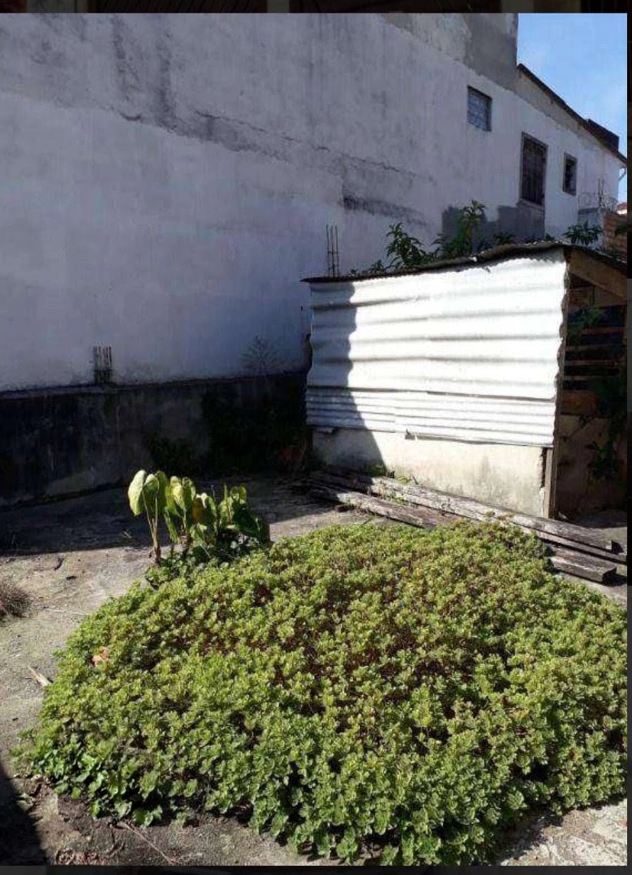 Terreno com 1 Quarto à Venda, 190,00 m² - Foto 4