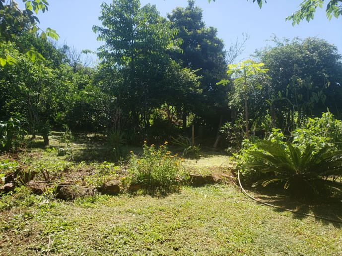 Casa com 3 Quartos à Venda, 60,00 m² - Foto 5