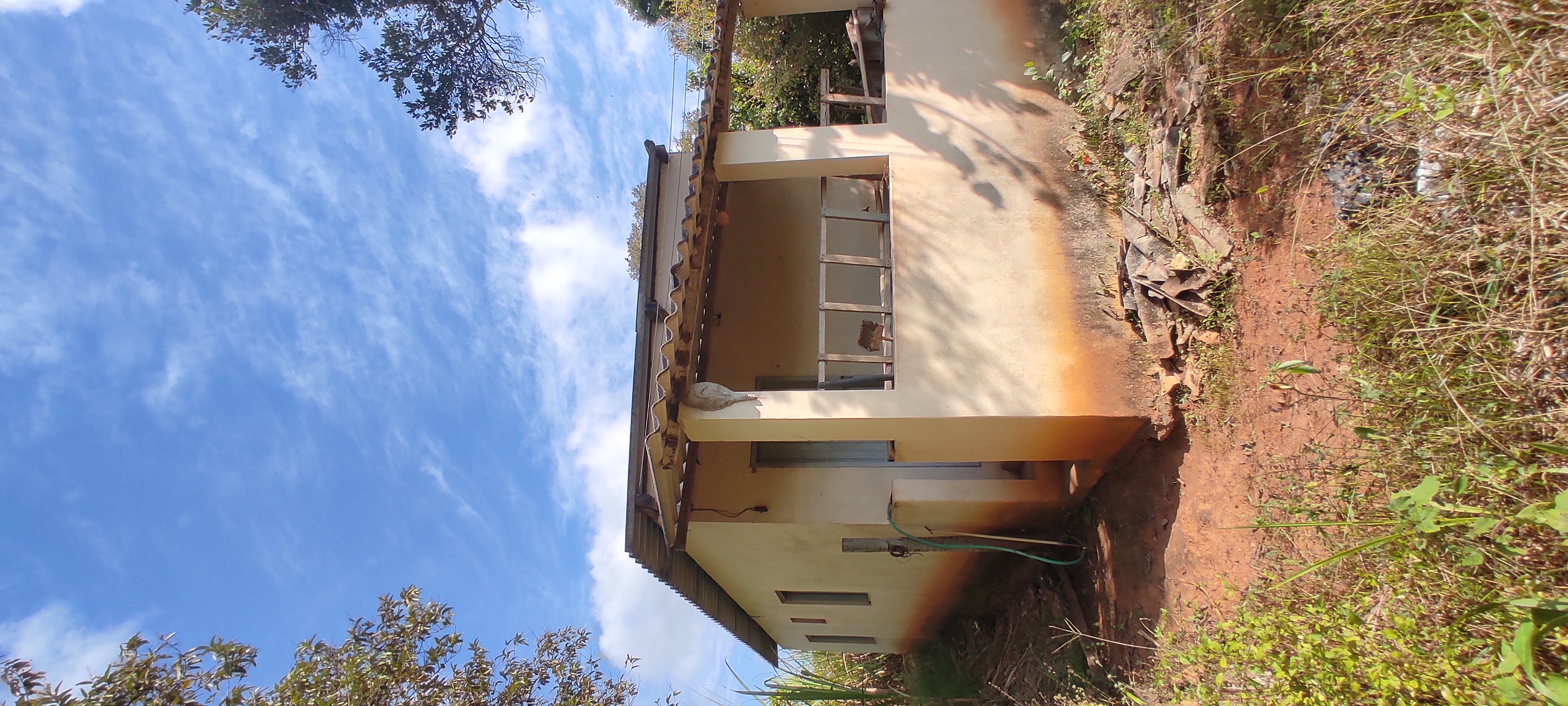 Rural com 5 Quartos à Venda, 22.000,00 m² - Foto 34