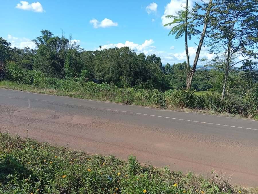 Rural com 2 Quartos à Venda, 3.000,00 m² - Foto 3