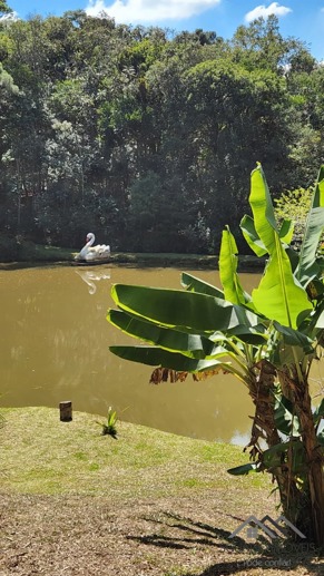 Rural à Venda, 6.530,00 m² - Foto 19