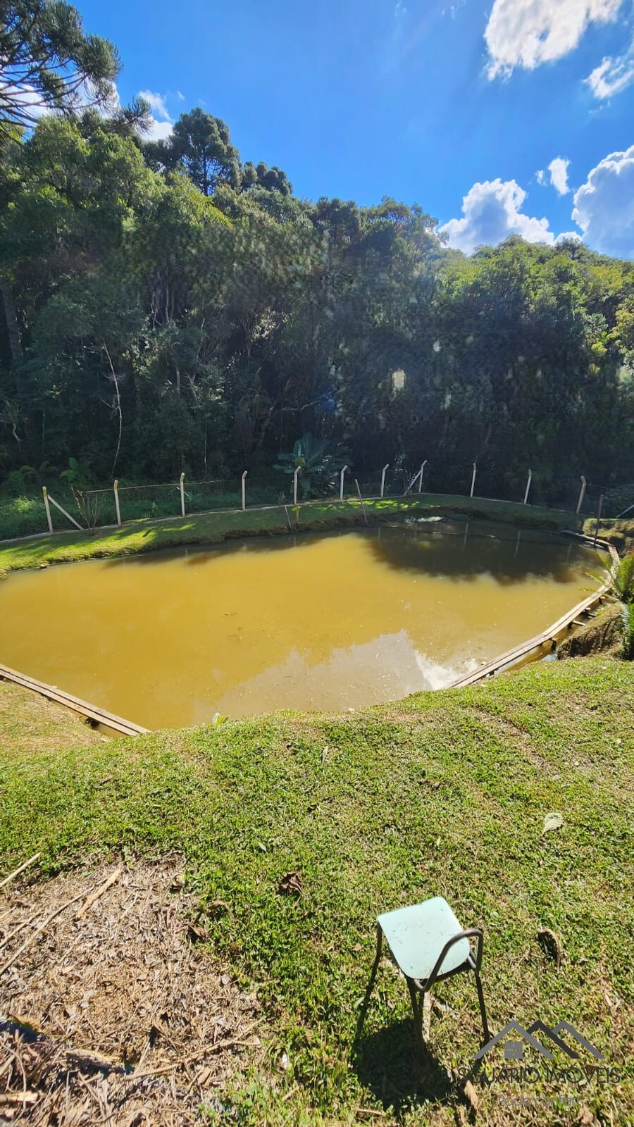 Rural com 3 Quartos à Venda, 3.000,00 m² - Foto 18