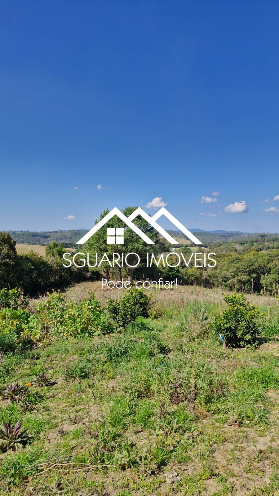 Rural com 3 Quartos à Venda, 20.800,00 m² - Foto 13