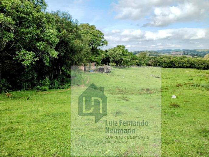 Rural com 3 Quartos à Venda, 197,00 m² - Foto 11