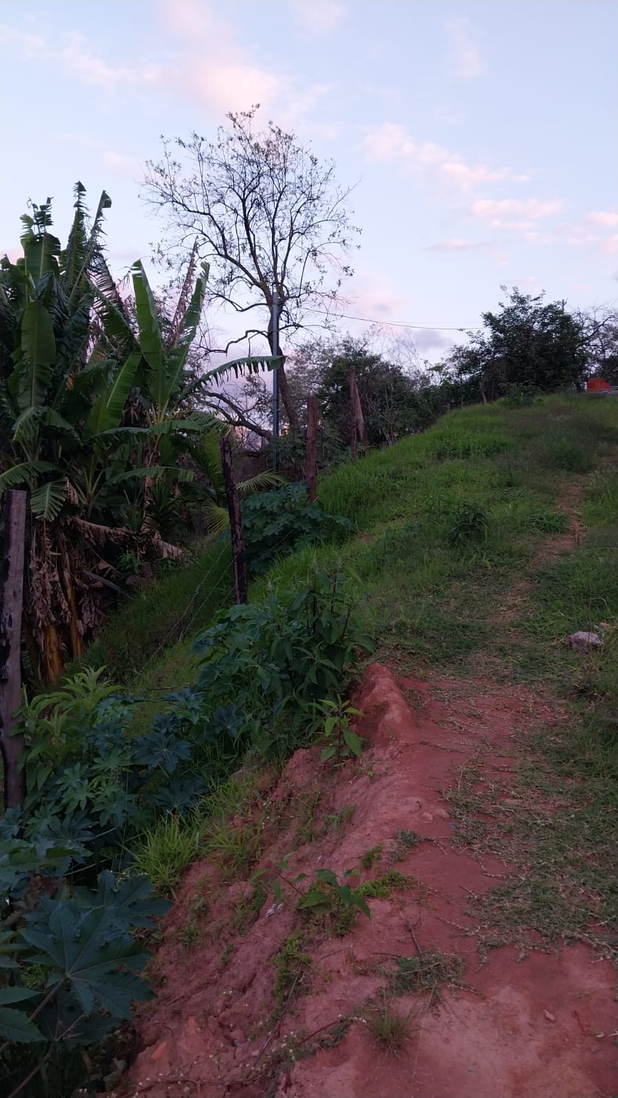 Terreno à Venda - Foto 6
