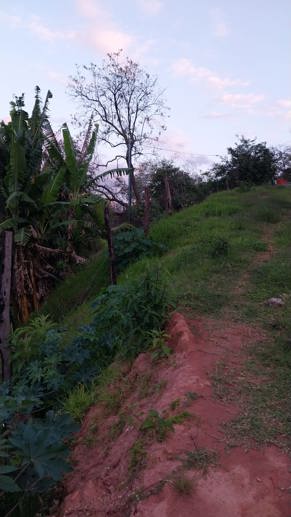 Terreno à Venda - Foto 6