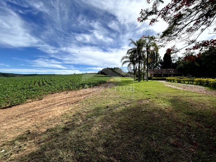 Rural com 8 Quartos à Venda, 242.000,00 m² - Foto 3