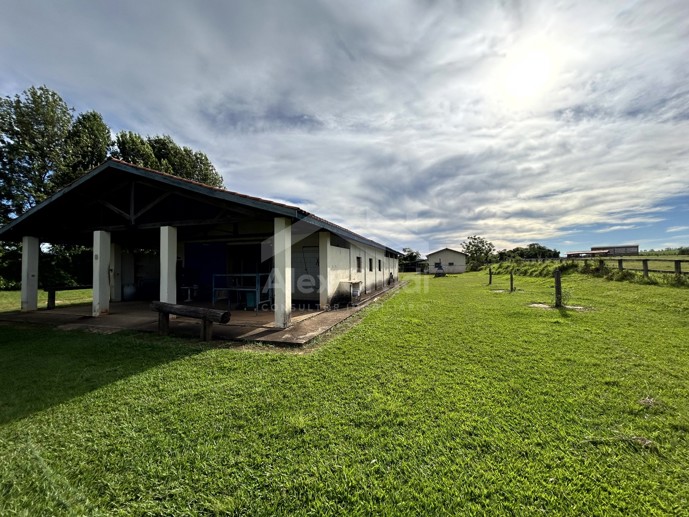 Rural com 8 Quartos à Venda, 242.000,00 m² - Foto 31