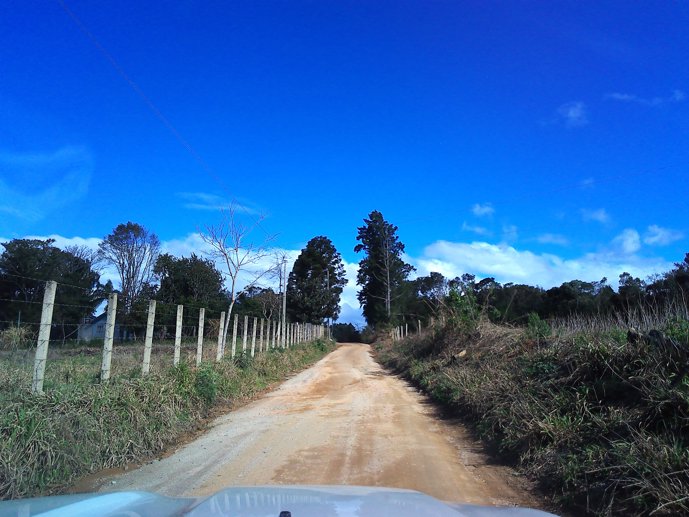 Rural com 3 Quartos à Venda, 24.946,87 m² - Foto 3