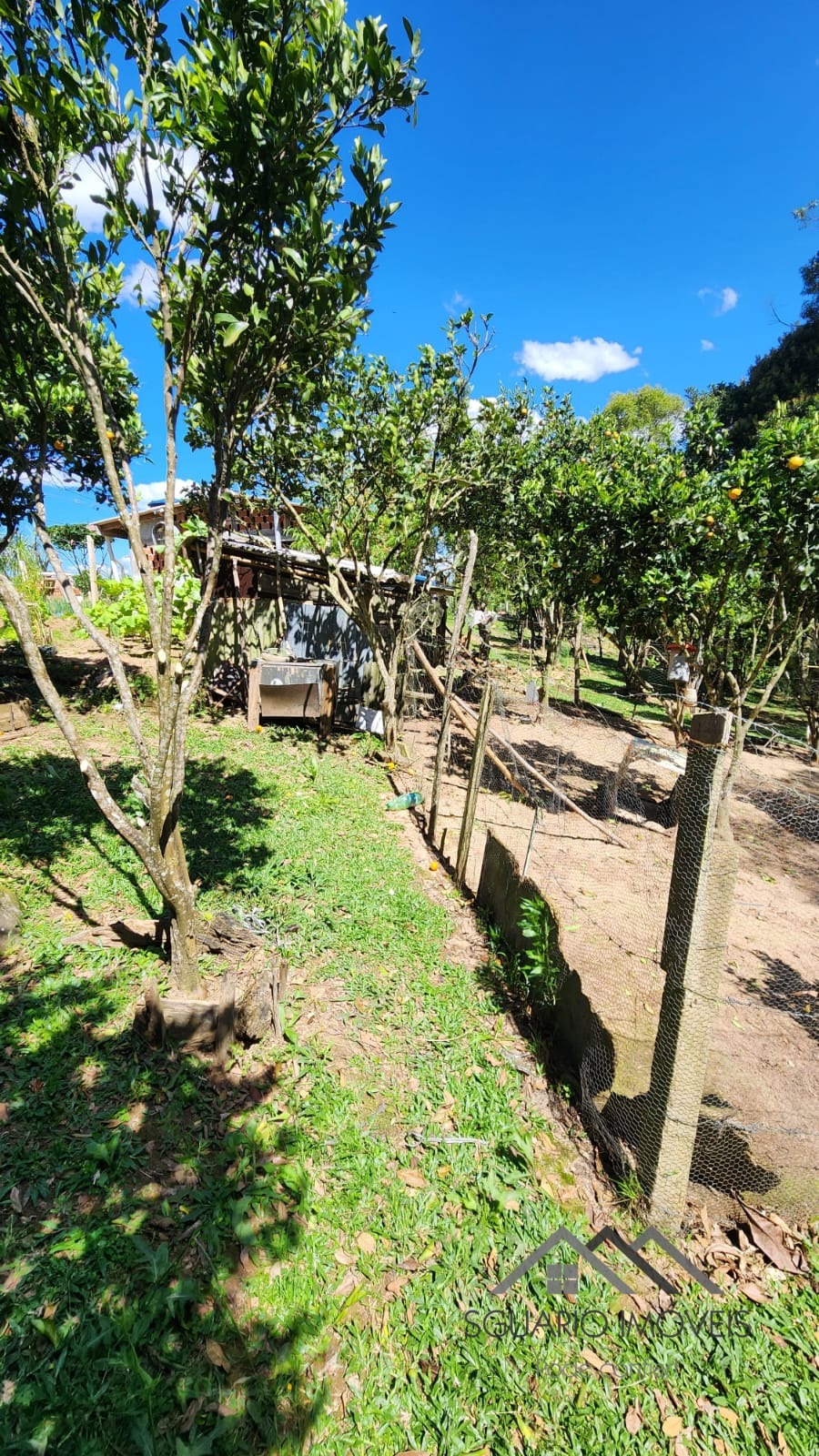 Rural à Venda, 6.050,00 m² - Foto 16
