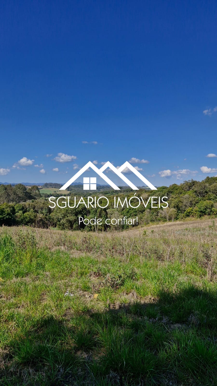 Rural com 3 Quartos à Venda, 20.800,00 m² - Foto 17