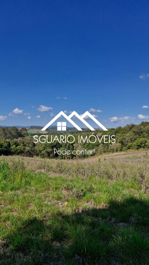 Rural com 3 Quartos à Venda, 20.800,00 m² - Foto 17