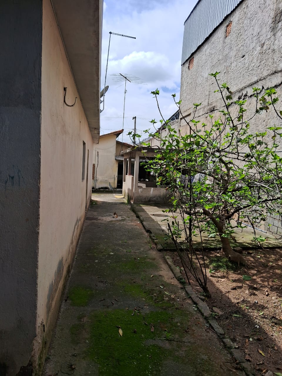 Terreno à Venda, 467,52 m² - Foto 12
