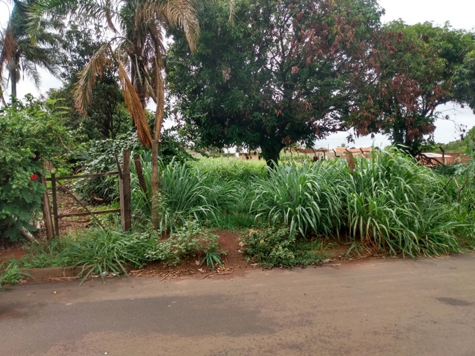Terreno à Venda, 1.000,00 m² - Foto 5