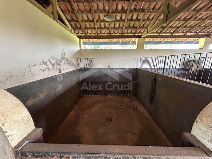 Rural com 8 Quartos à Venda, 242.000,00 m² - Foto 15