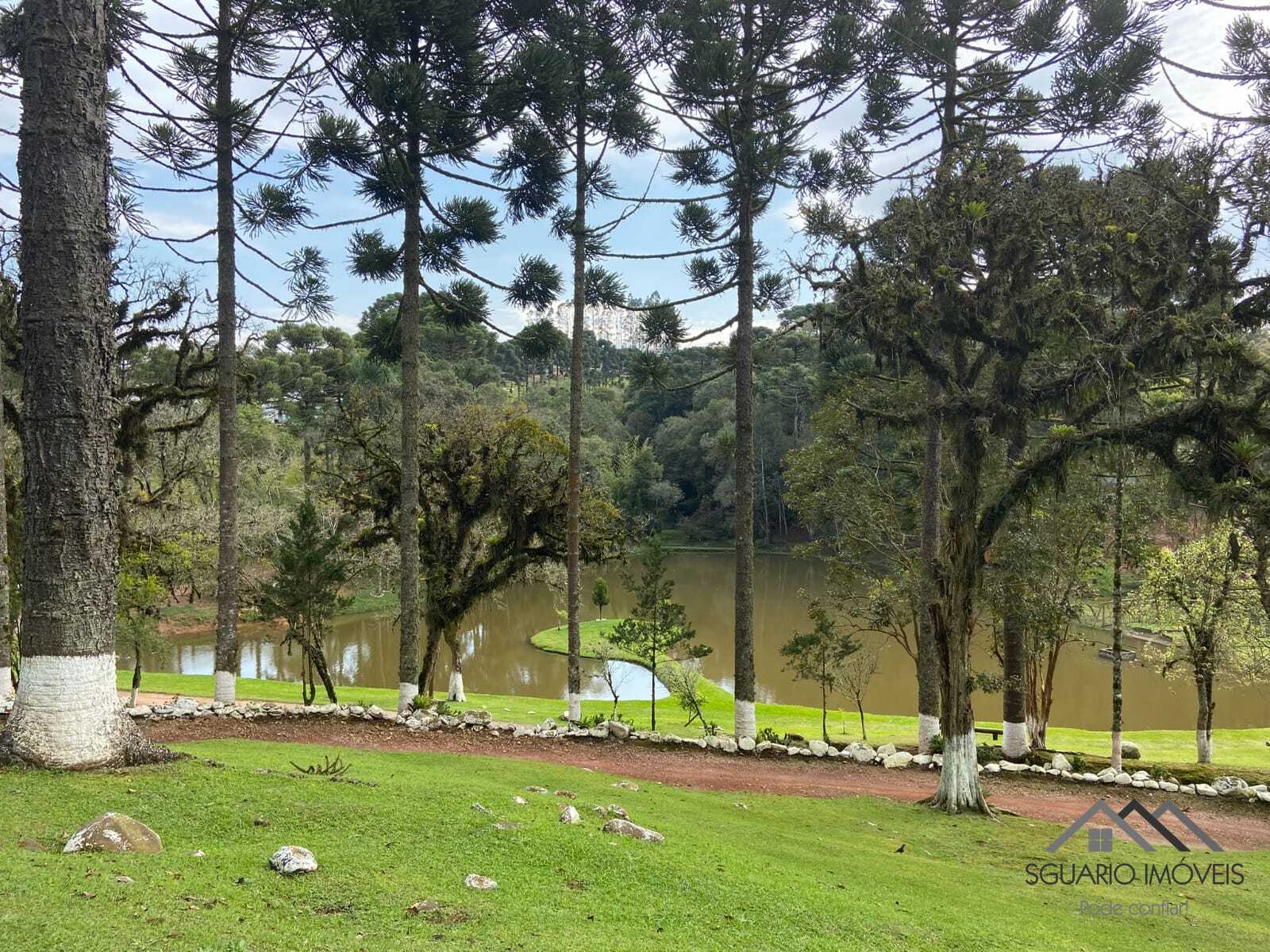 Rural com 3 Quartos à Venda, 3.000,00 m² - Foto 20