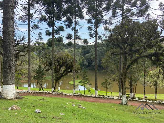 Rural com 3 Quartos à Venda, 3.000,00 m² - Foto 20