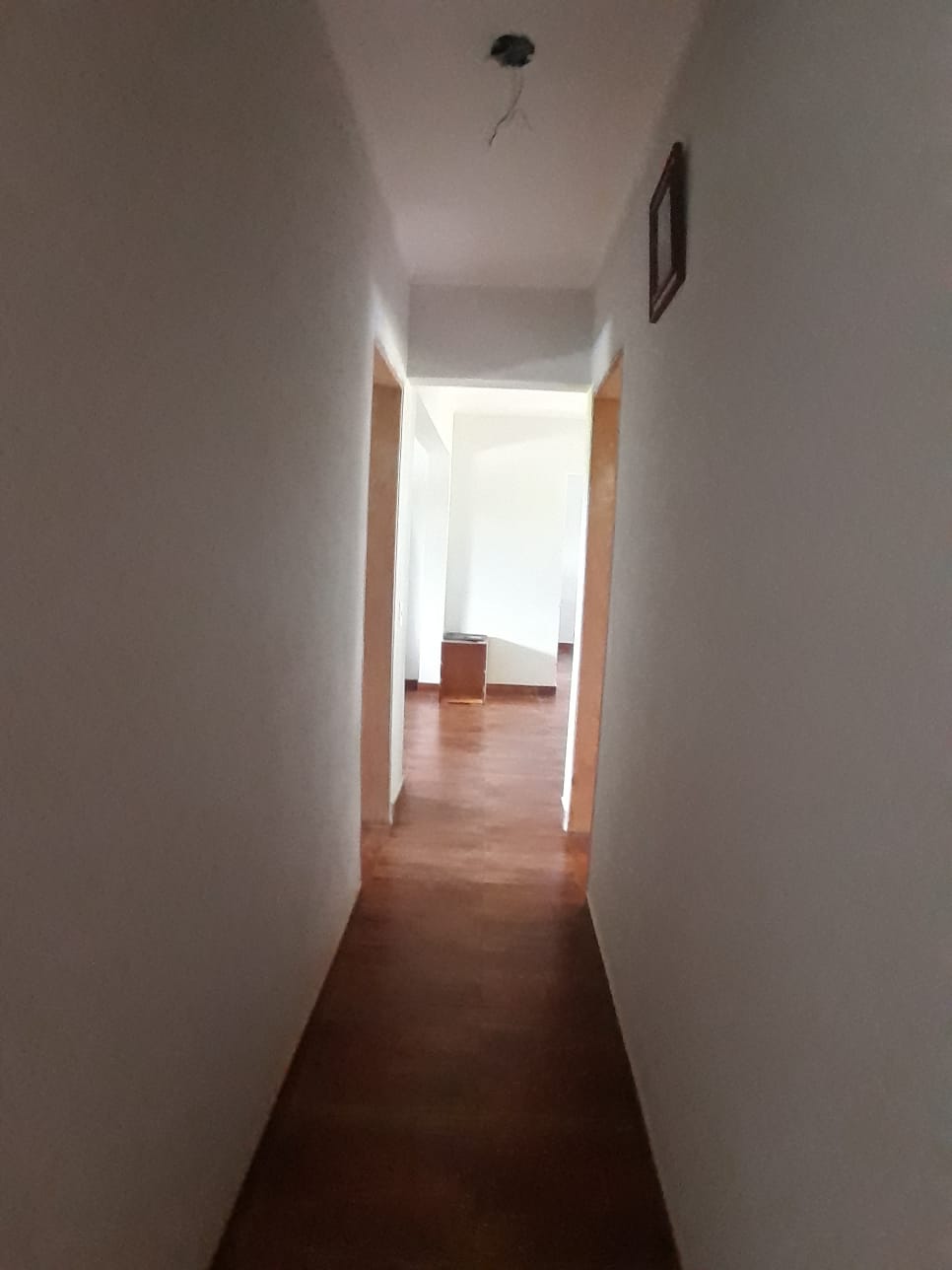 Rural com 3 Quartos à Venda, 314.600,00 m² - Foto 2