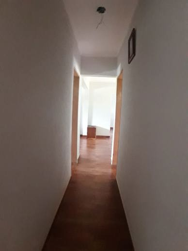 Rural com 3 Quartos à Venda, 314.600,00 m² - Foto 2