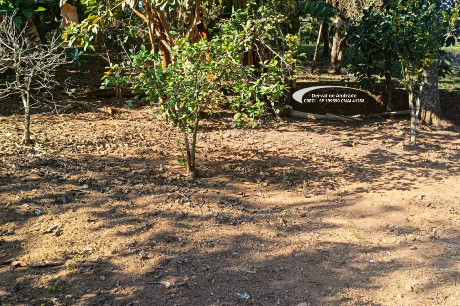 Rural com 2 Quartos à Venda, 1.411,00 m² - Foto 16