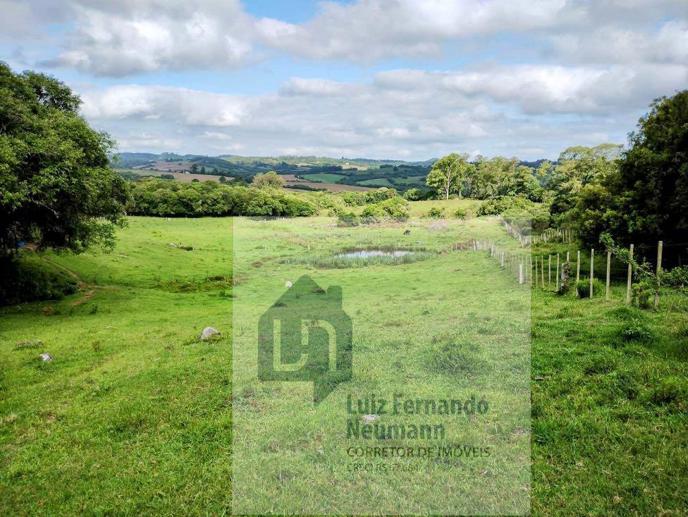 Rural com 3 Quartos à Venda, 197,00 m² - Foto 8