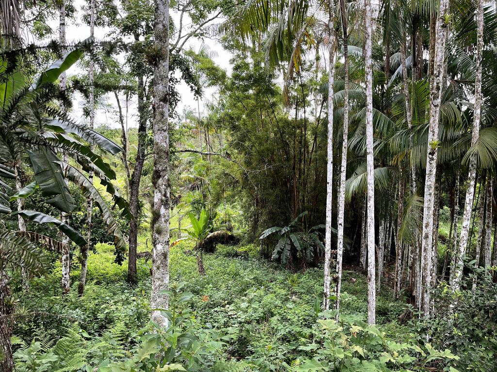 Casa com 2 Quartos à Venda, 44.000,00 m² - Foto 7