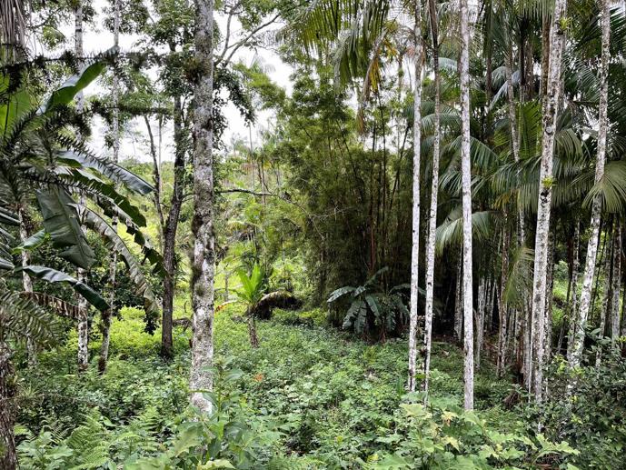 Casa com 2 Quartos à Venda, 44.000,00 m² - Foto 3
